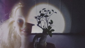 Bonsai Security (Dollyanna’s Dream)
