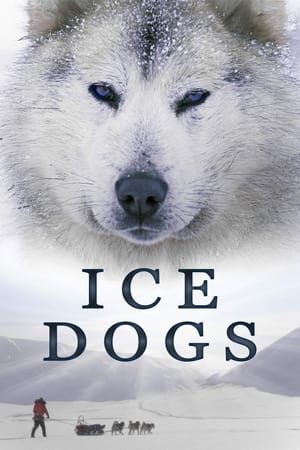 pelicula Ice Dogs: The Only Companions Worth Having (2016)