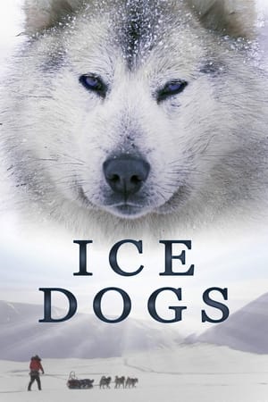 Poster Ice Dogs: The Only Companions Worth Having 2016
