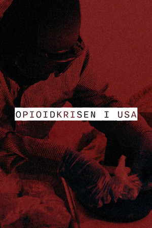 Image Opioidkrisen i USA