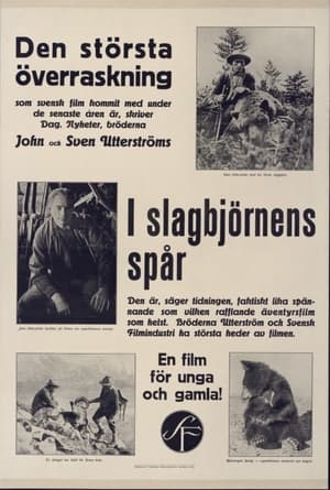 Poster I slagbjörnens spår 1931
