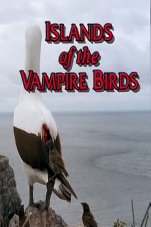 Poster Islands of the Vampire Birds 1999