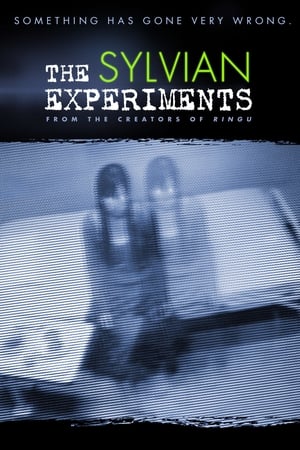 Poster The Sylvian Experiments (2010)