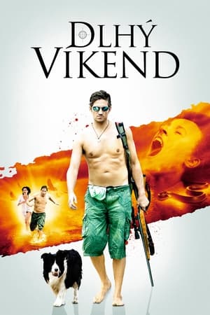 Poster Dlhý víkend 2009