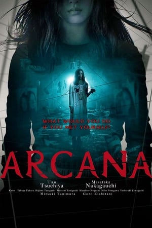 Poster Arcana 2013