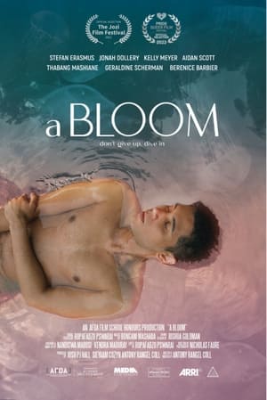 A Bloom 3