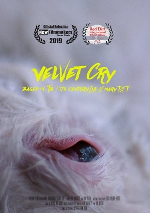 Poster VELVET CRY (2019)