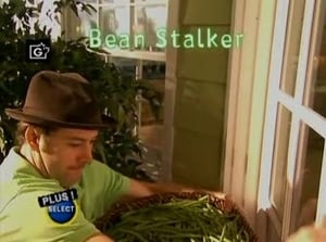 Image Bean Stalker