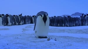 Penguins: Spy in the Huddle First Steps