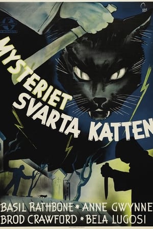 Poster The Black Cat 1941