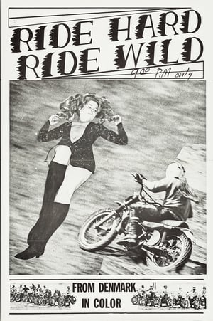 Poster Ride Hard, Ride Wild (1970)