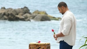 Bachelor in Paradise Season 6 Episode 13