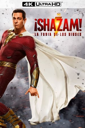 poster Shazam! Fury of the Gods