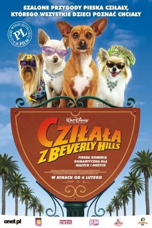 Poster Cziłała z Beverly Hills 2008