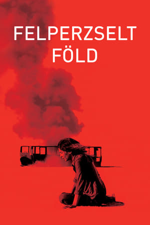 Felperzselt föld (2010)