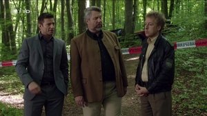 Die Rosenheim-Cops Season 15 Episode 19