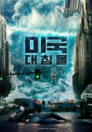 Image 미국 대침몰