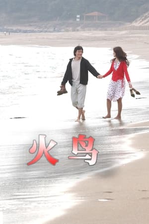 Poster 火鸟 2004