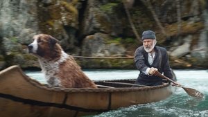 The Call of the Wild (2020)