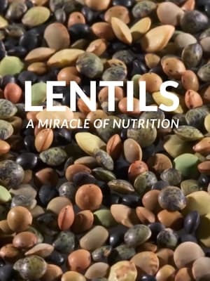Image Lentils: A Miracle Of Nutrition