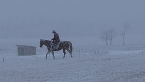 Heartland 6. évad 18. rész