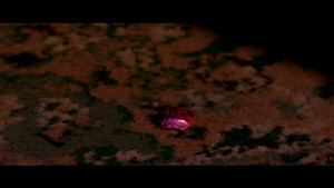 You Owe Me Your Life