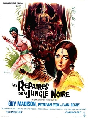 Image Les Repaires de la Jungle Noire