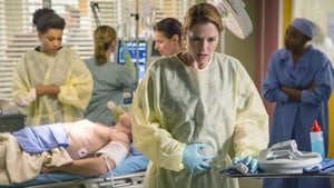 Grey's Anatomy Season 11 :Episode 9  Where Do We Go From Here?