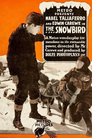 Image The Snowbird