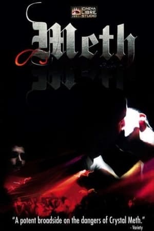 Poster Meth (2006)
