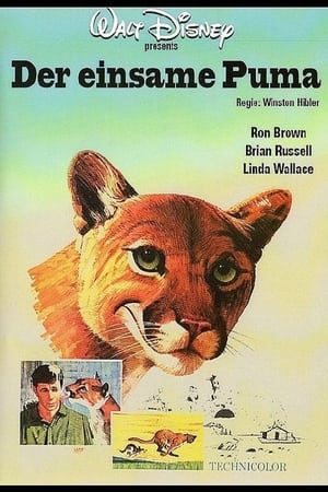 Der einsame Puma 1967