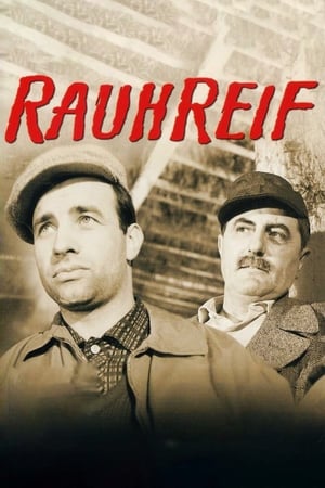 Poster Rauhreif 1963
