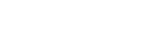 Ronin Warriors — Logos 2