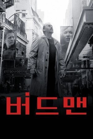 Image 버드맨