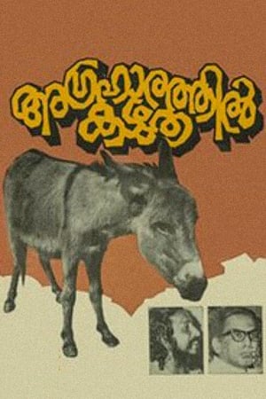 Donkey in a Brahmin Village poster