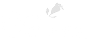 Teresa