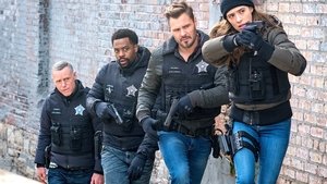 Chicago P.D. 8×4