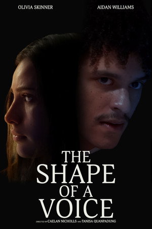 The Shape of a Voice