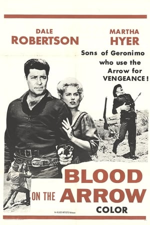 Blood on the Arrow poster