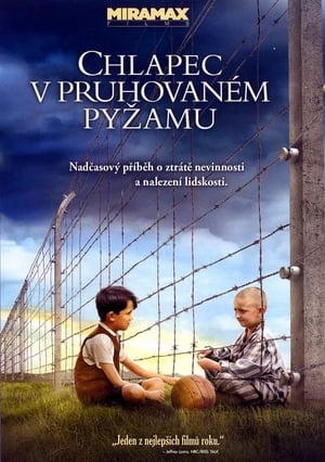 Poster Chlapec v pruhovaném pyžamu 2008
