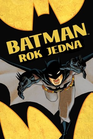 Poster Batman: Rok jedna 2011