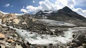 Les trésors des glaces