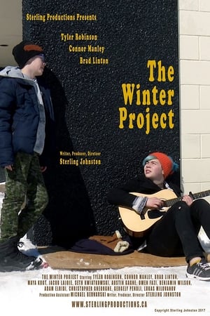 Poster The Winter Project 2017