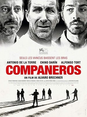 Poster Compañeros 2018