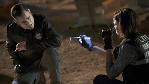 CSI: Crime Scene Investigation: 15×14