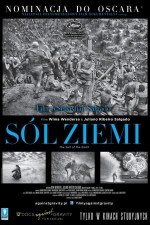 Poster Sól ziemi 2014