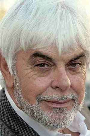 Valerio Massimo Manfredi portrait