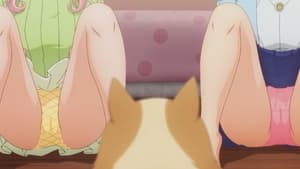 My Life as Inukai-san’s Dog.: Season 1 Episode 7 –