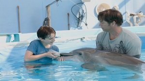 Dolphin Tale