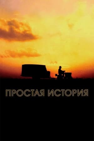 Poster Простая история 1999